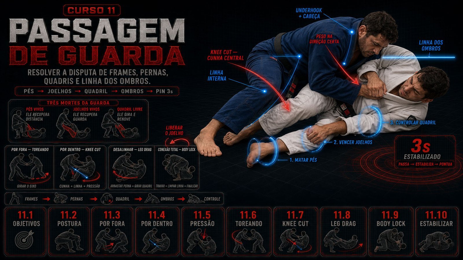 Passagem de guarda, técnicas e variações