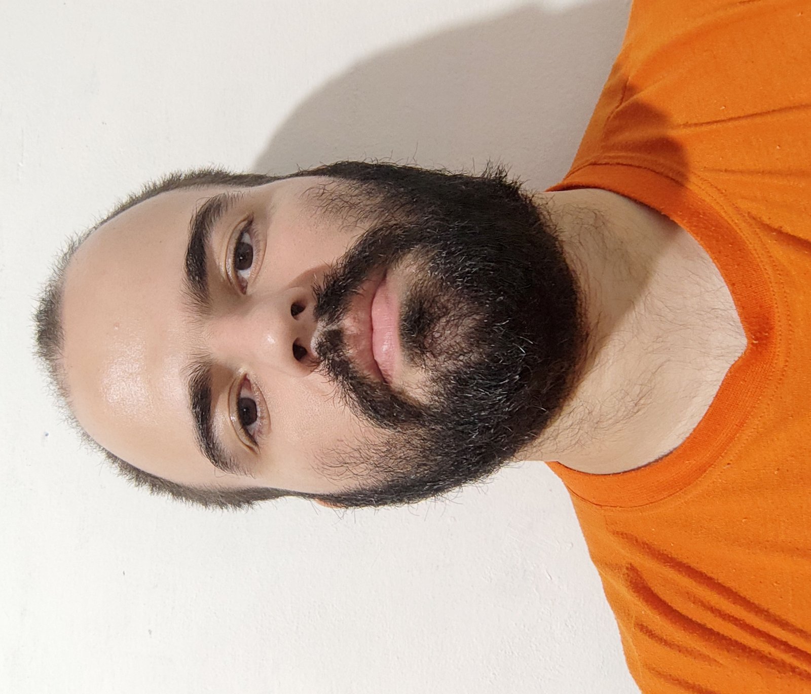 WENDEL VINÍCIUS VIEIRA ROZZINE