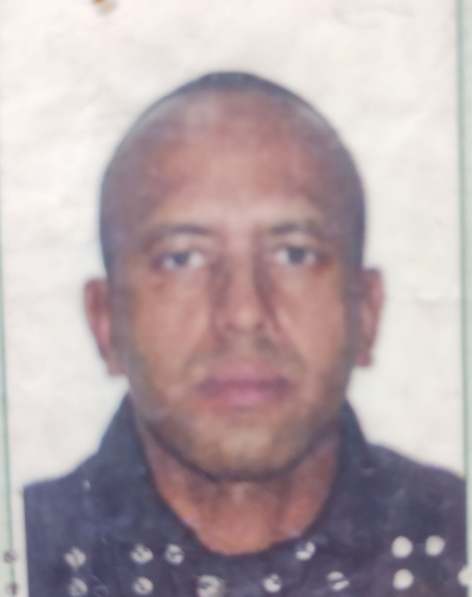 FERNANDO PEREIRA