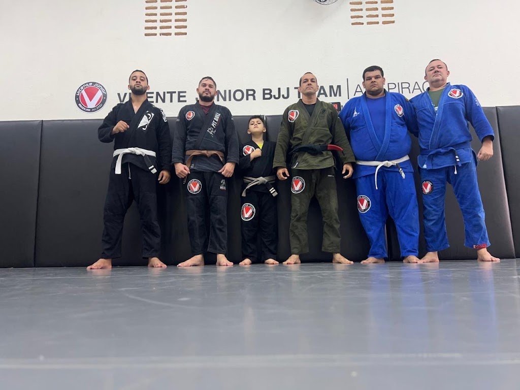 Vicente Jr. BJJ Pennsylvania — foto 3