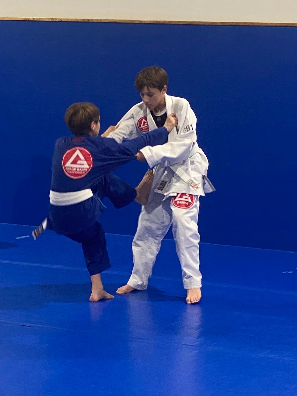 Renzo Gracie Lakeway — foto 4
