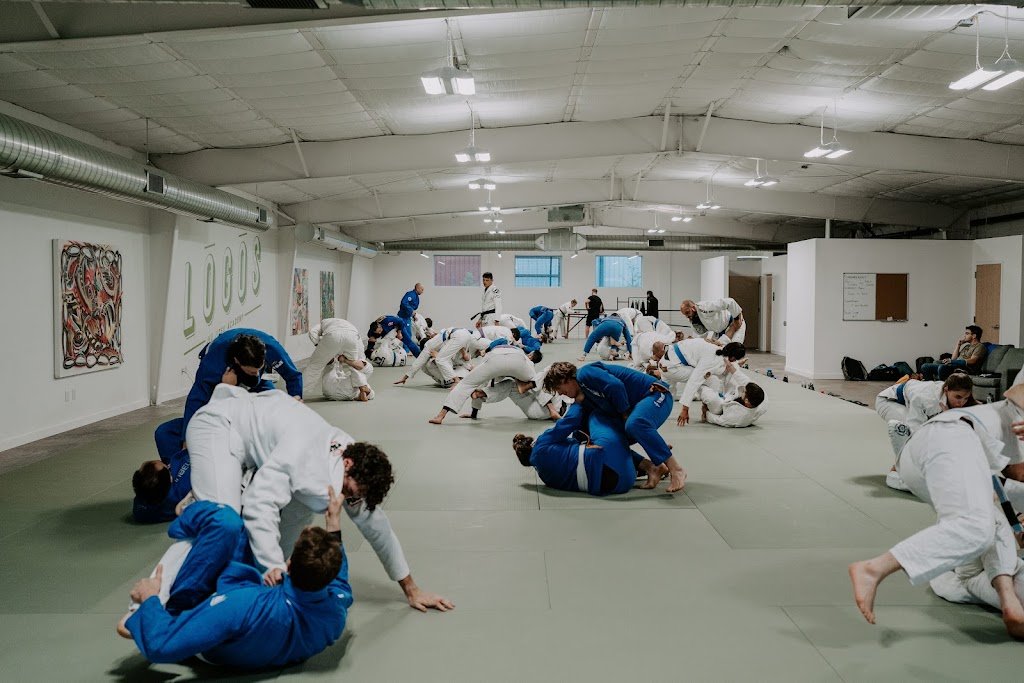 Logos JJ — academia de Jiu-Jitsu