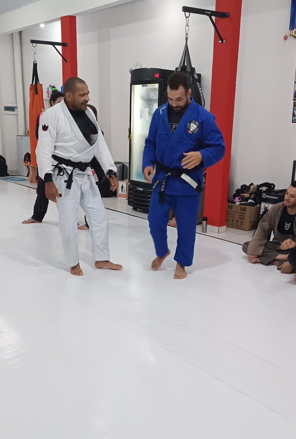 Adriano Pires Level Jiu-Jitsu — foto 3
