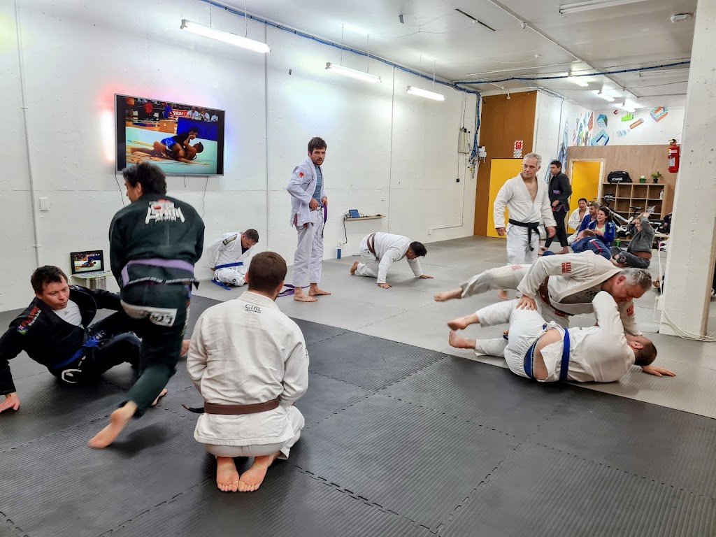 Workshop Jiu-Jitsu — foto 2