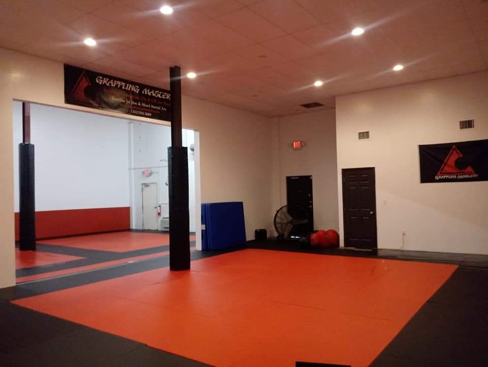 Grappling Mastery — foto 3