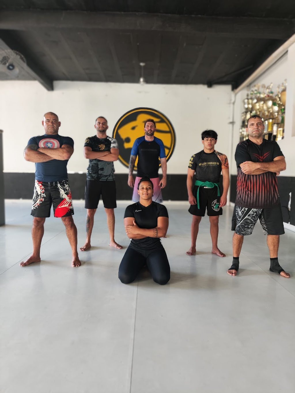 Leão Dourado — foto 3