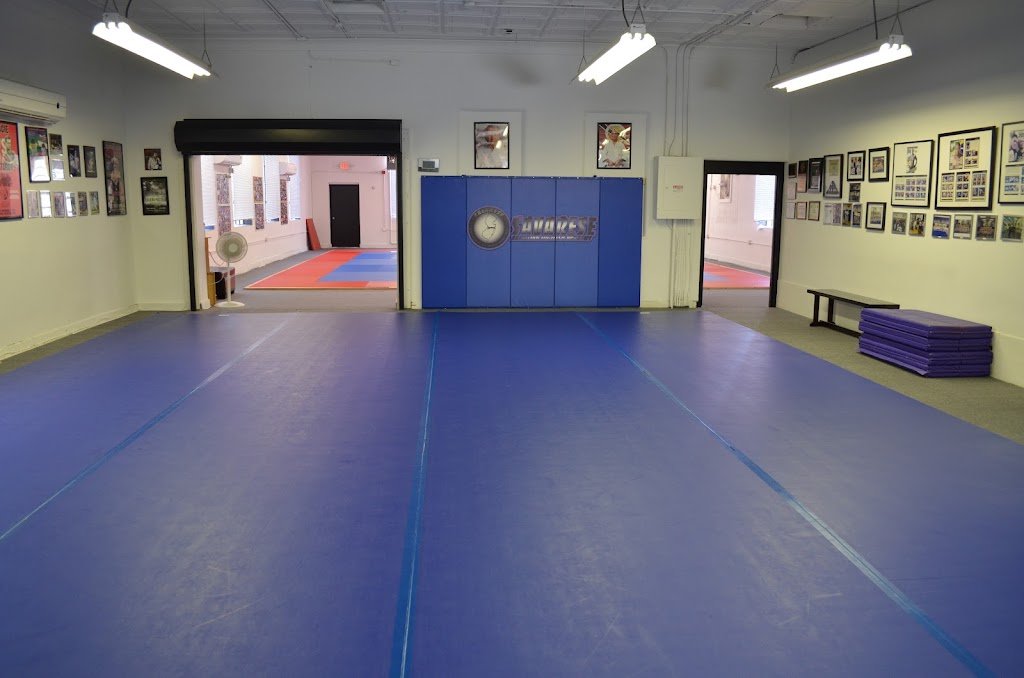 Savarese Brazilian Jiu-Jitsu Academy — foto 2