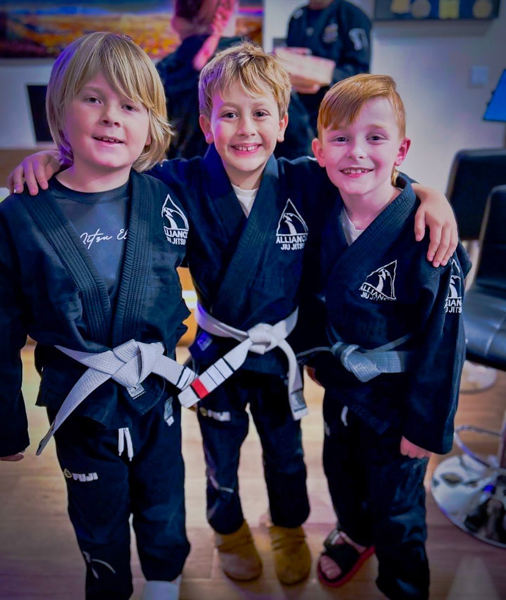 Viotti Brazilian Jiu-Jitsu Academy — academia de Jiu-Jitsu