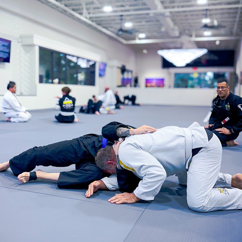 Viotti Brazilian Jiu-Jitsu Academy — foto 2