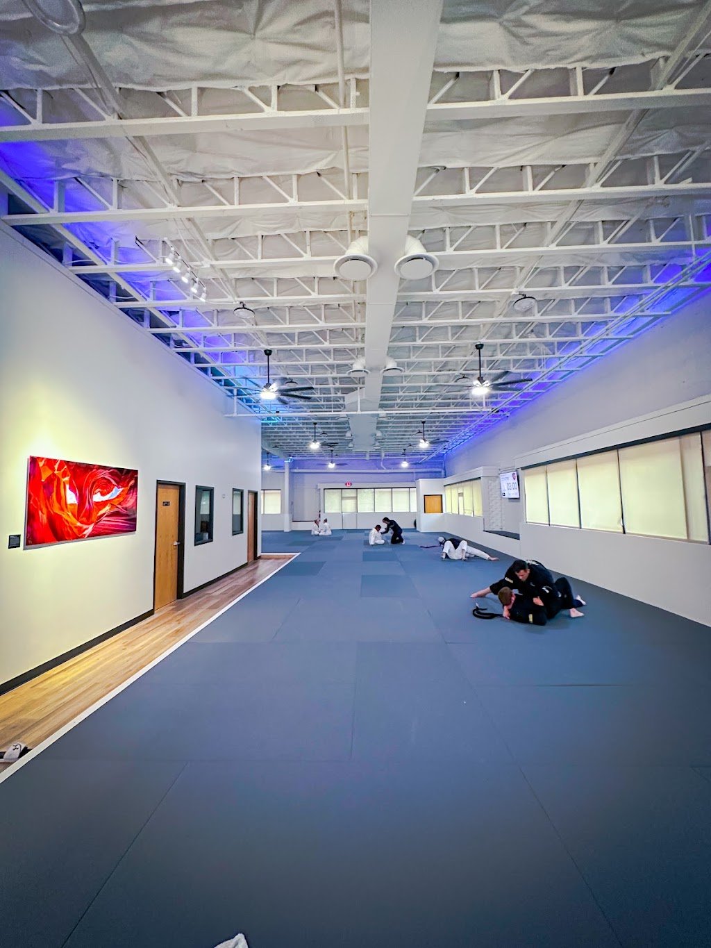 Viotti Brazilian Jiu-Jitsu Academy — foto 3