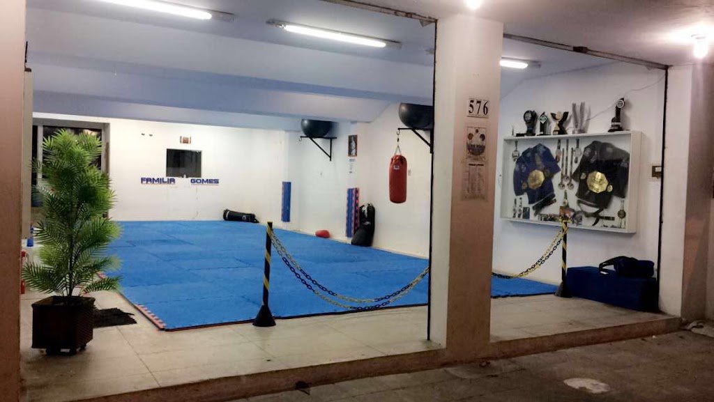 Família Gomes Associação — foto 3