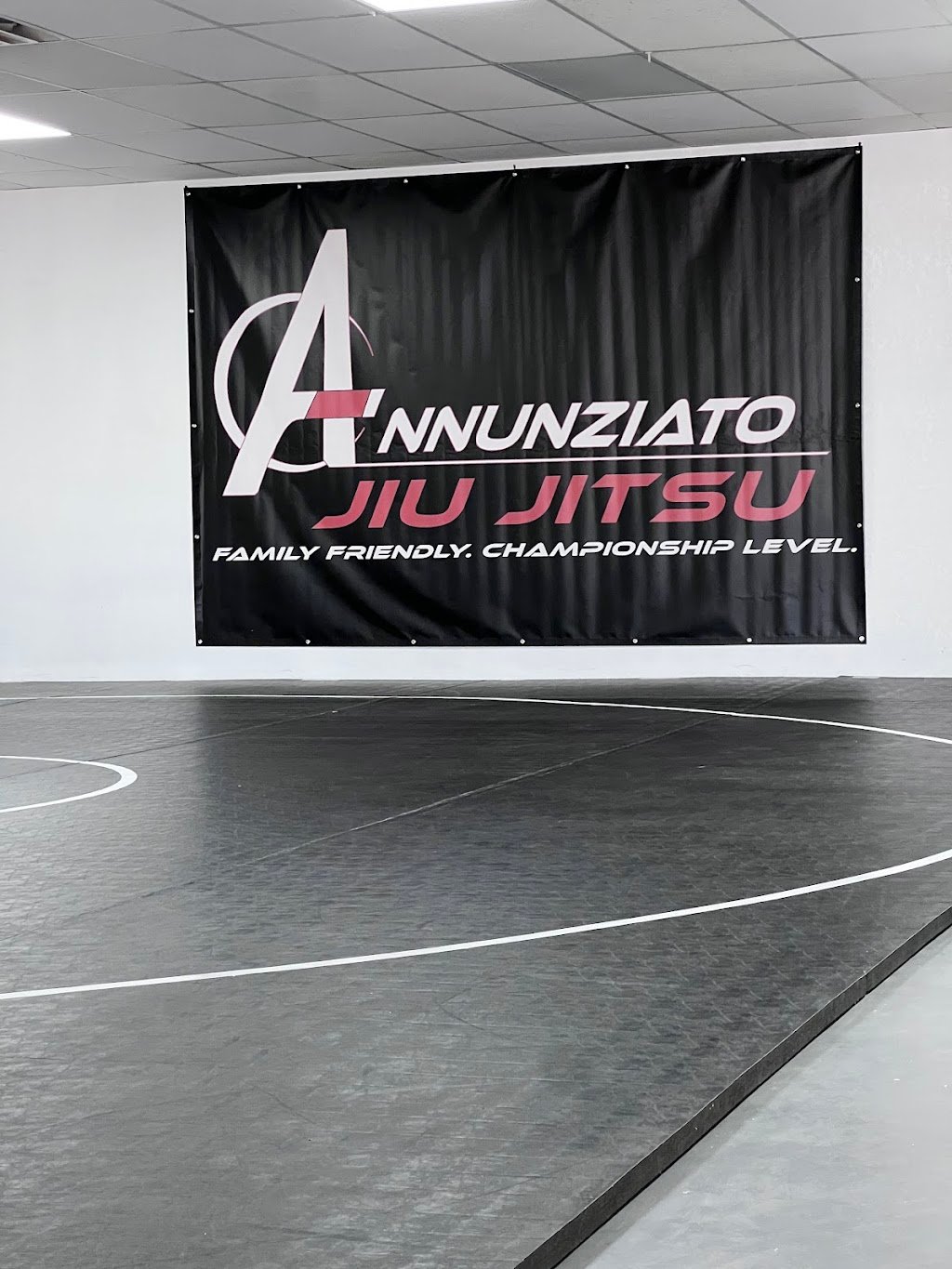 Annunziato Jiu-Jitsu — foto 4