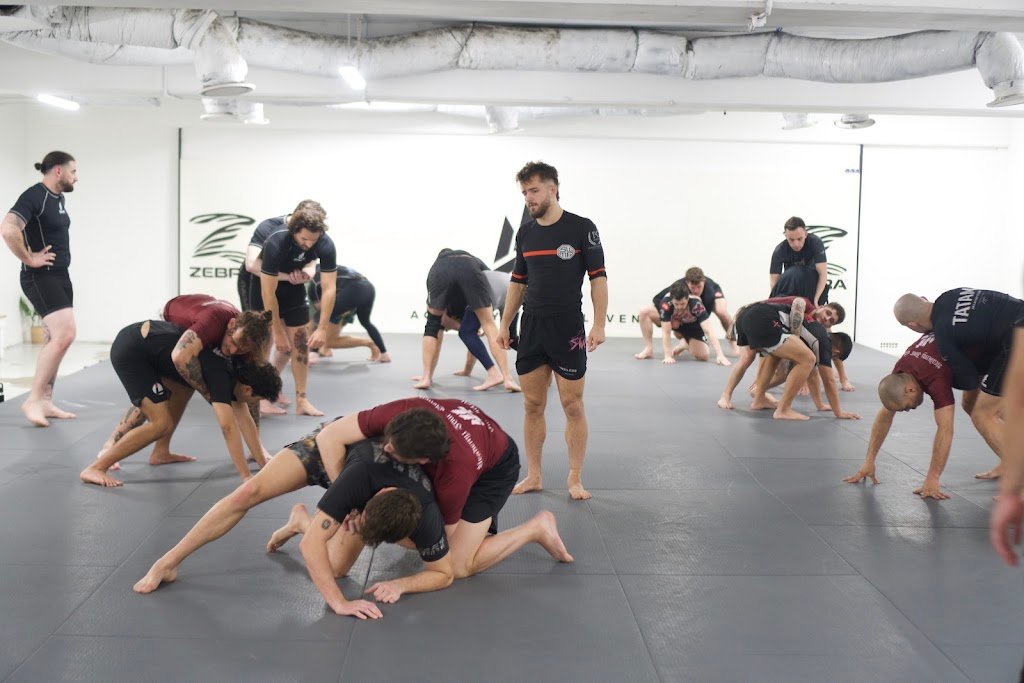 Academy 411 — academia de Jiu-Jitsu