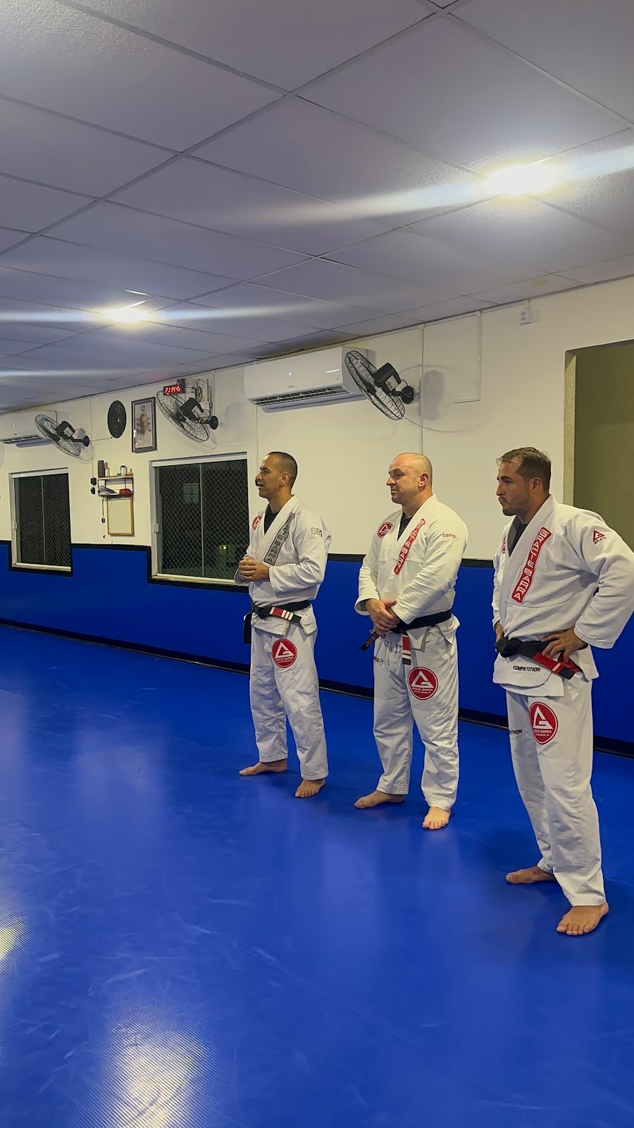 Gracie Barra Centro Penha - SC — foto 3