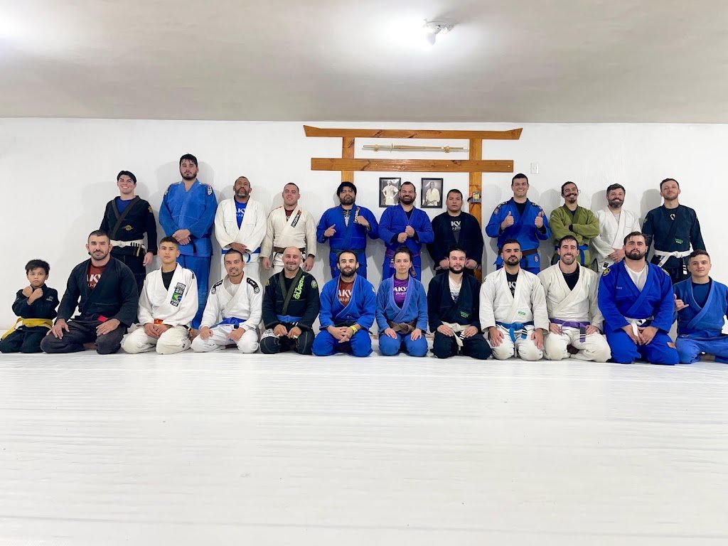 AKVA Jiu-Jitsu — foto 2