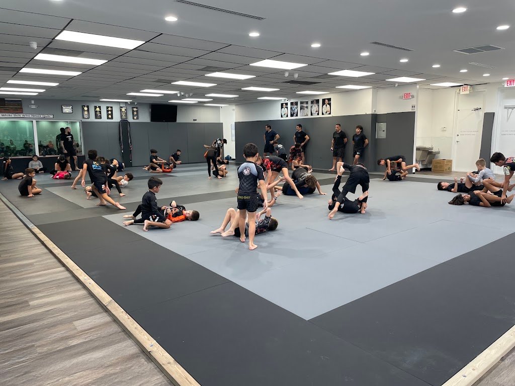 Rilion Gracie Miami Lakes — foto 2