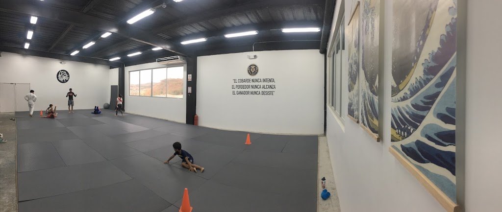 Dojo Leo Iturralde — foto 2