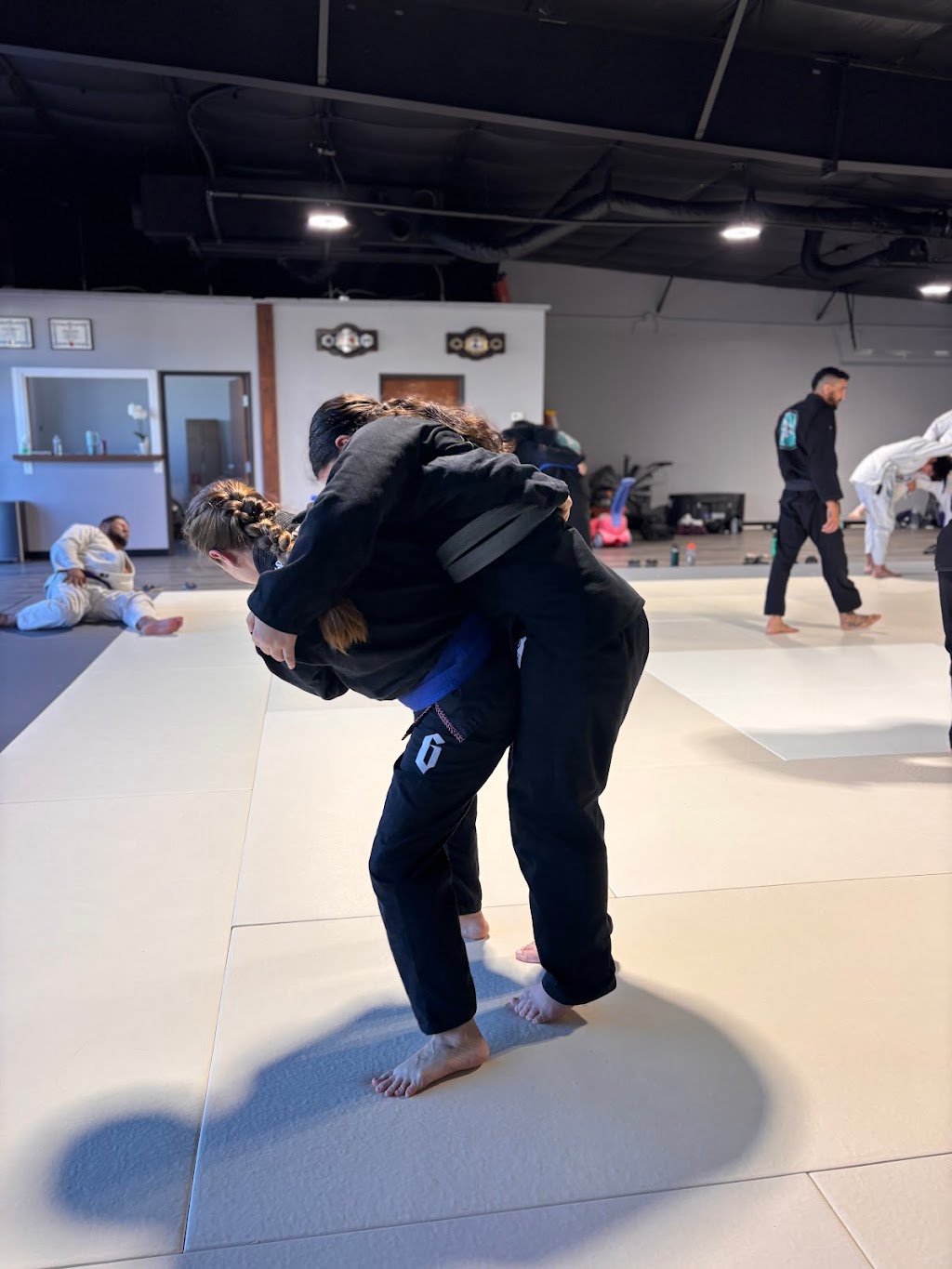 Free World Jiu-Jitsu — foto 4