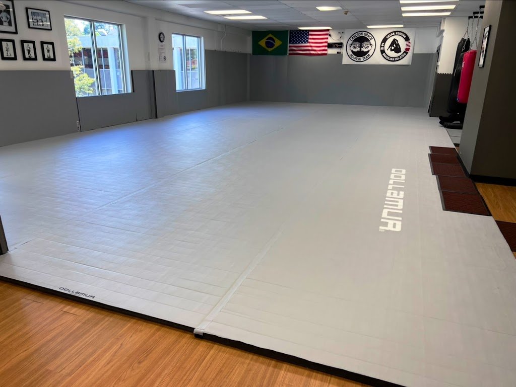 Carlson Gracie Team - CT / Cesar Pereira BJJ — foto 4