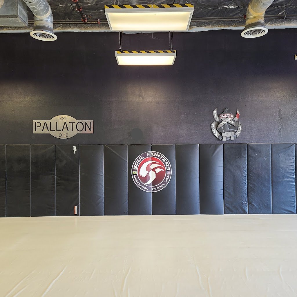 Pallaton BJJ — academia de Jiu-Jitsu