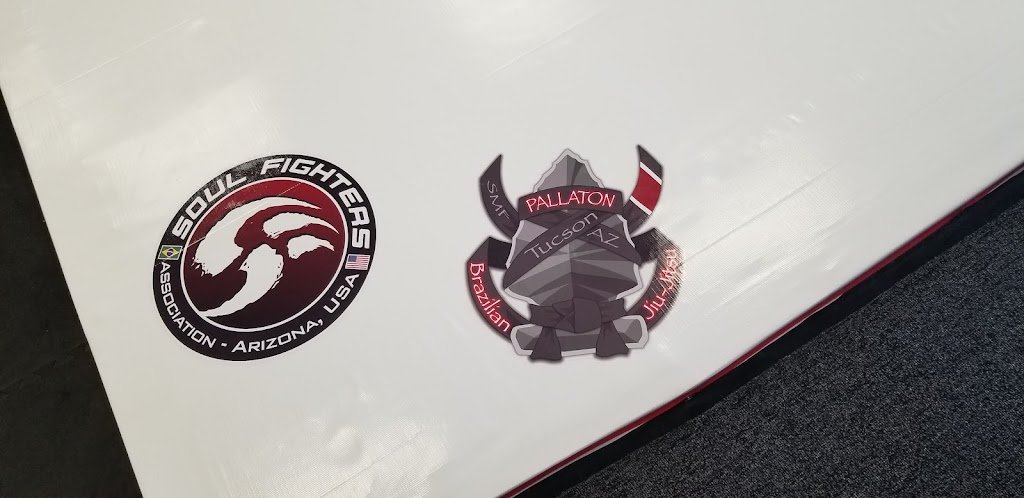 Pallaton BJJ — foto 4