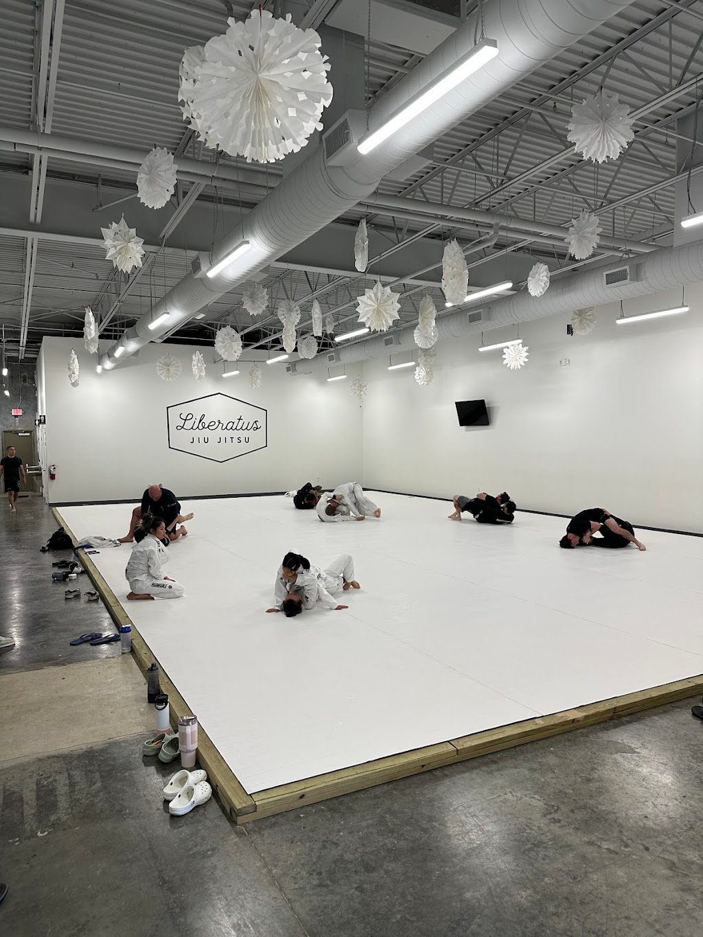 Liberatus Jiu-Jitsu — foto 2
