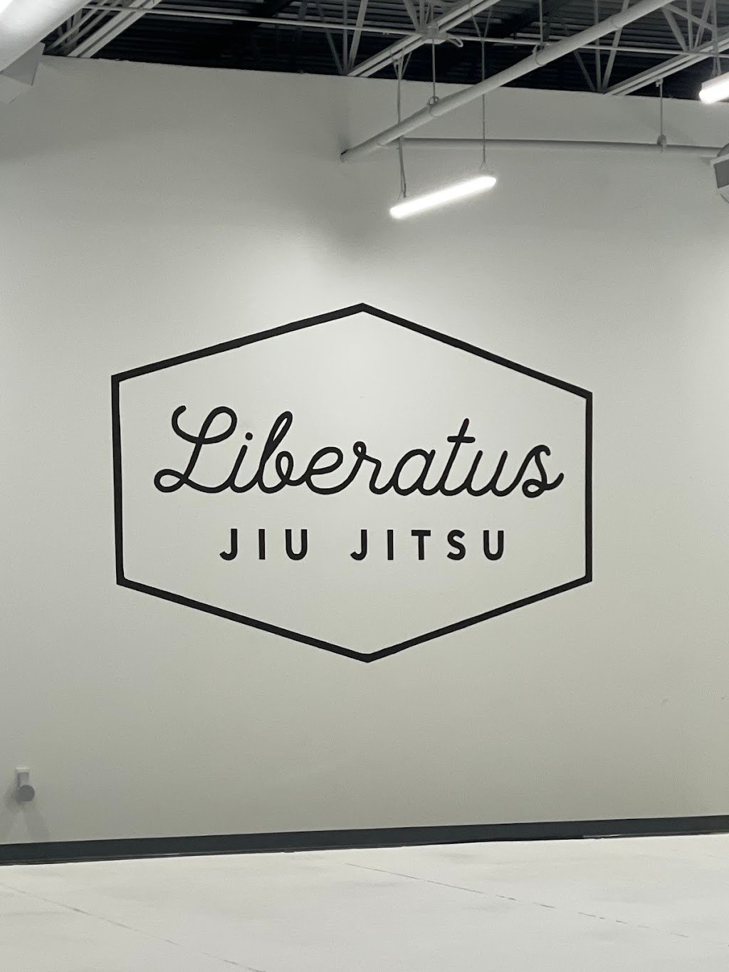 Liberatus Jiu-Jitsu — foto 3