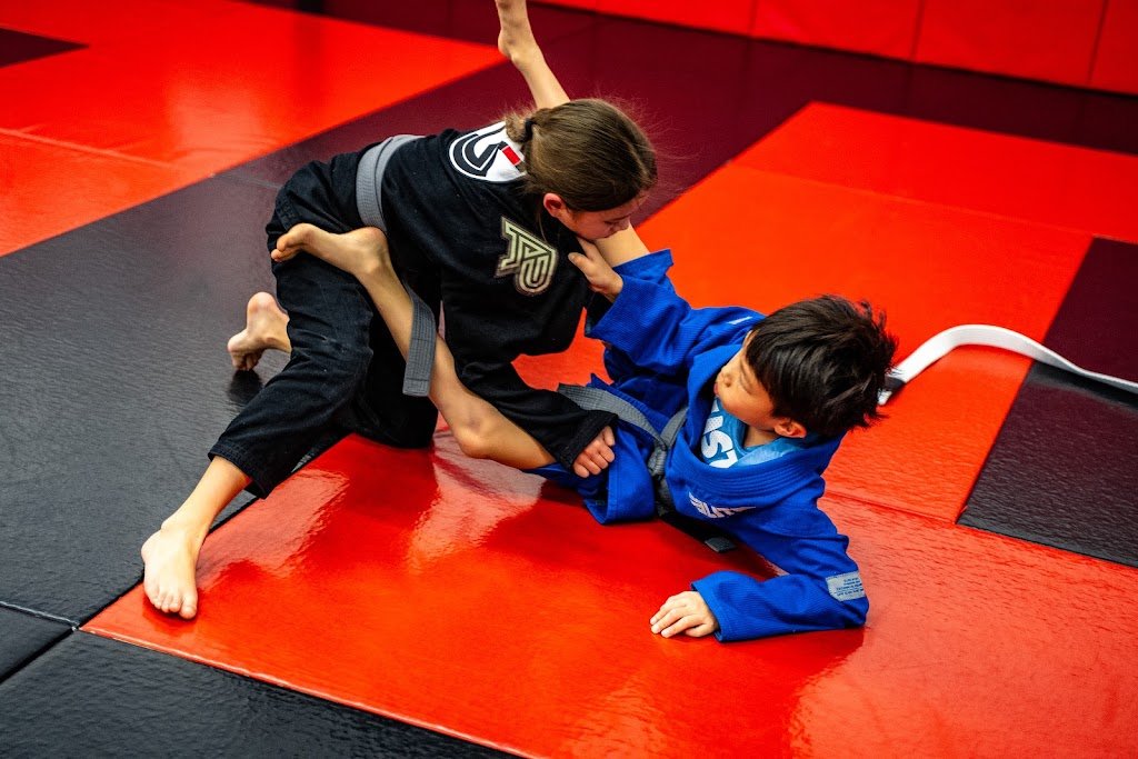 Foster Brazilian Jiu-Jitsu — foto 4