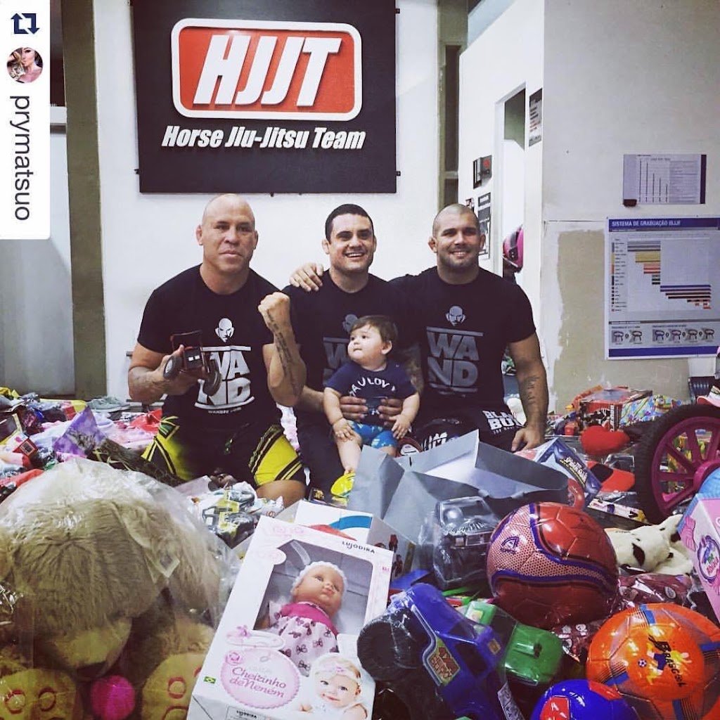 HJJT - Horse Jiu-Jitsu Team — academia de Jiu-Jitsu