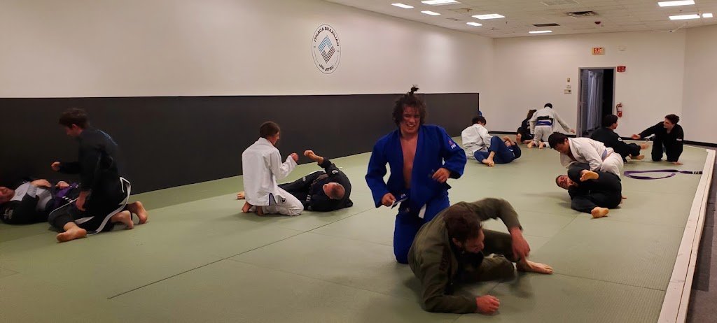 Ithaca BJJ School — foto 2
