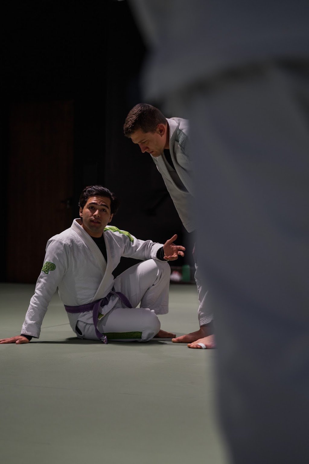 Artista Brazilian Jiu-Jitsu — foto 4