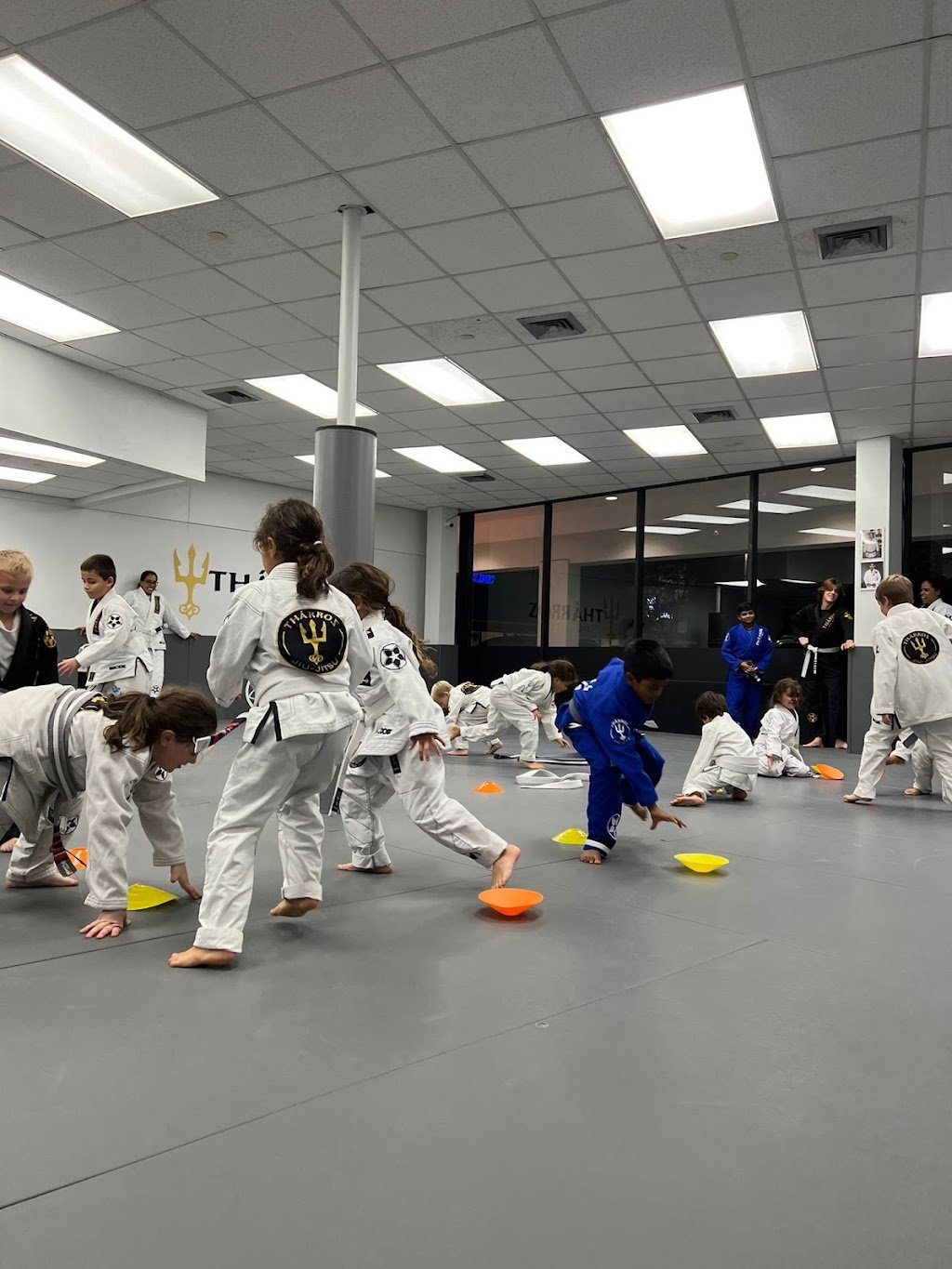 Thárros Jiu-Jitsu Academy — foto 2