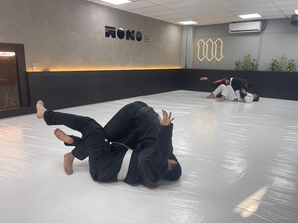 Mono Jiu-Jitsu — foto 2