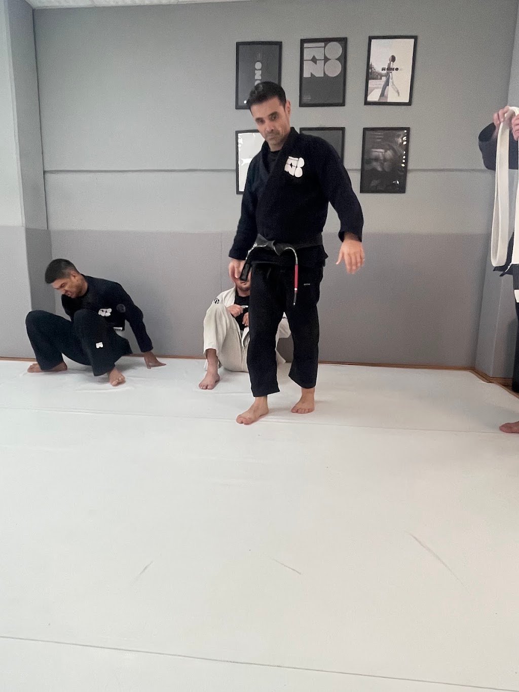 Mono Jiu-Jitsu — foto 3