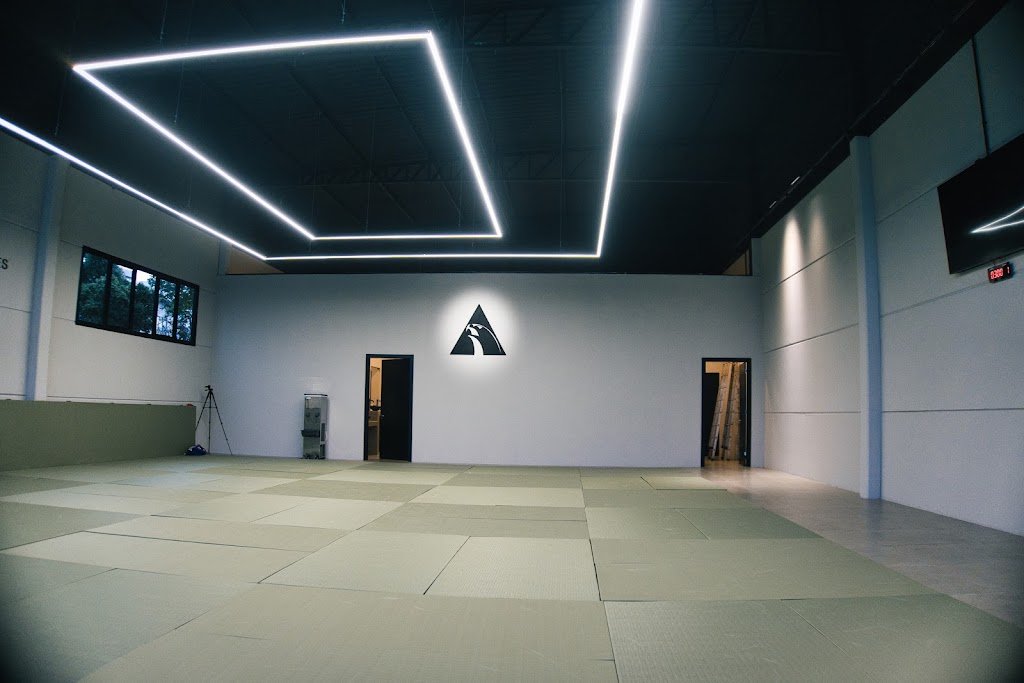 Alliance Bento Gonçalves — foto 2