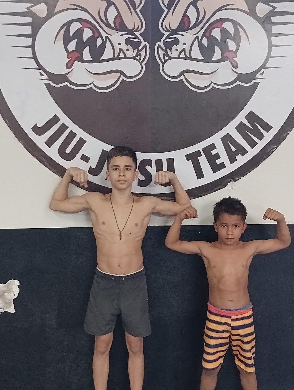 Carlson Gracie Mato Grosso Do Sul — foto 3