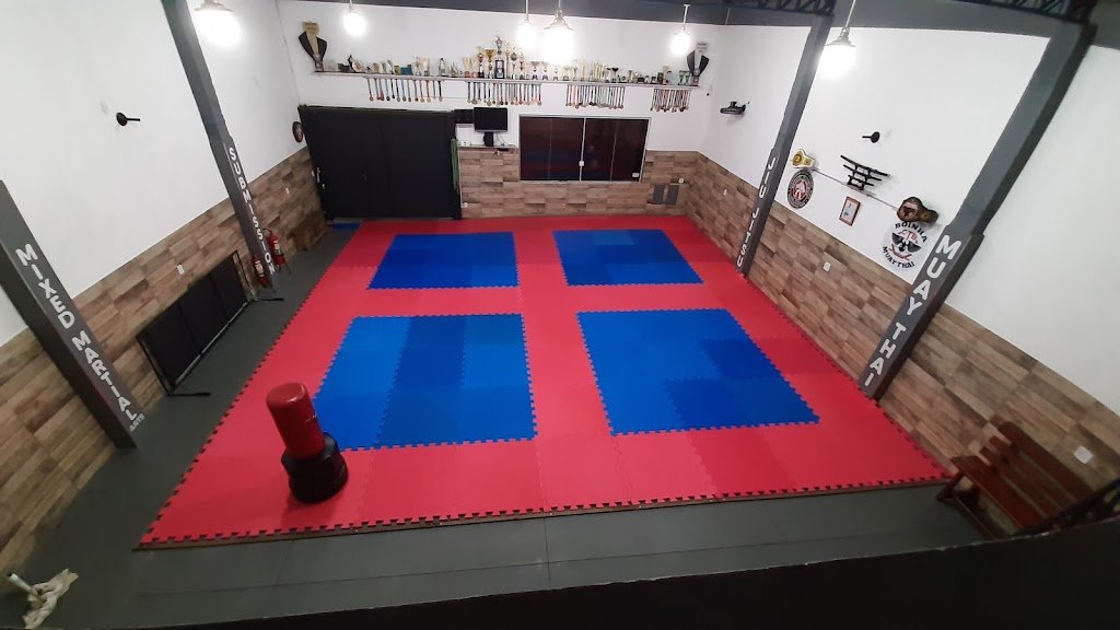 Miquinho Jiu-Jitsu — foto 4