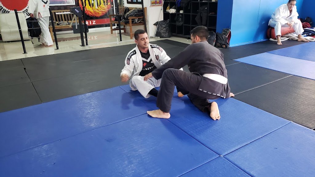 Luiz Paulo Jiu-Jitsu USA — foto 3