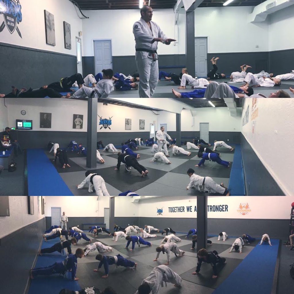 Golden Triangle Jiu-Jitsu Academy — foto 3