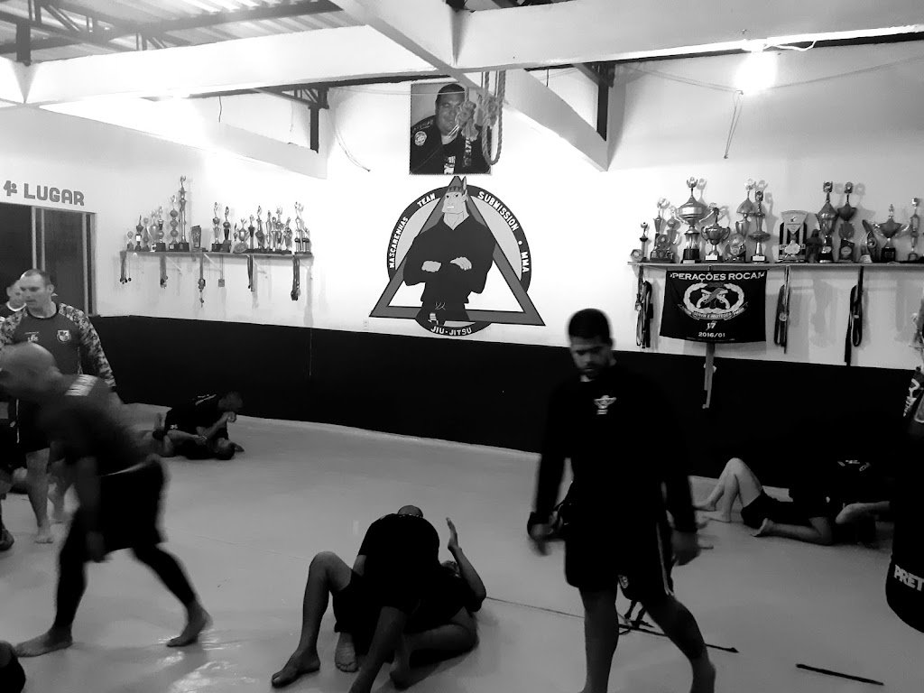 Equipe 7/CTT — academia de Jiu-Jitsu