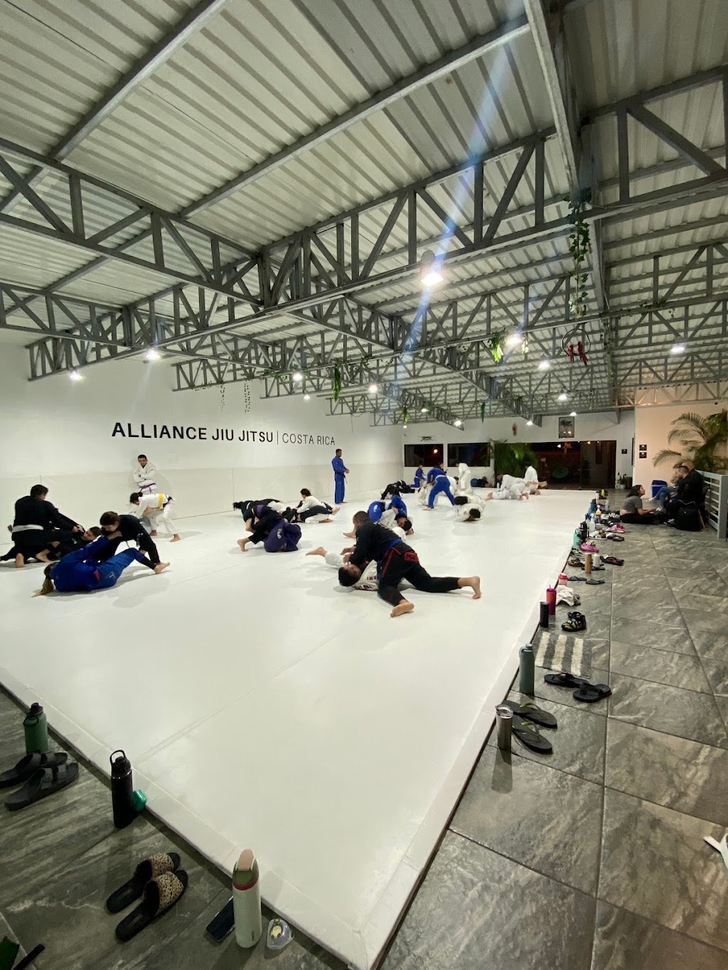 Alliance Costa Rica — academia de Jiu-Jitsu