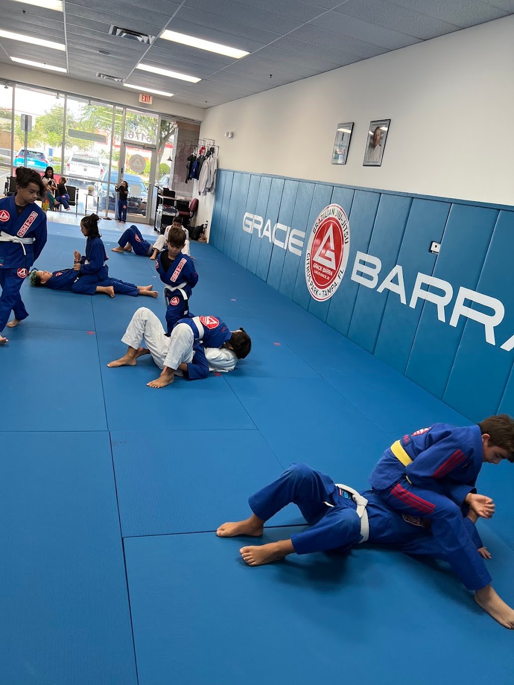 Gracie Barra Citrus Park - Tampa, Fl — foto 2