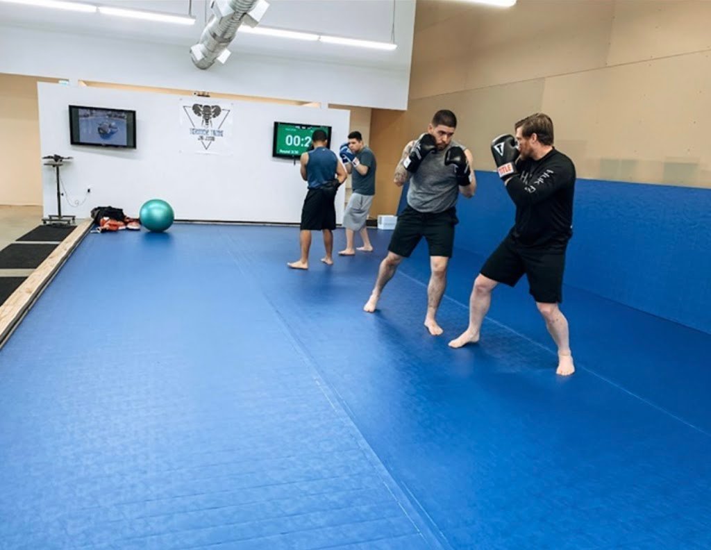 Tension Tribe Jiu-Jitsu — academia de Jiu-Jitsu