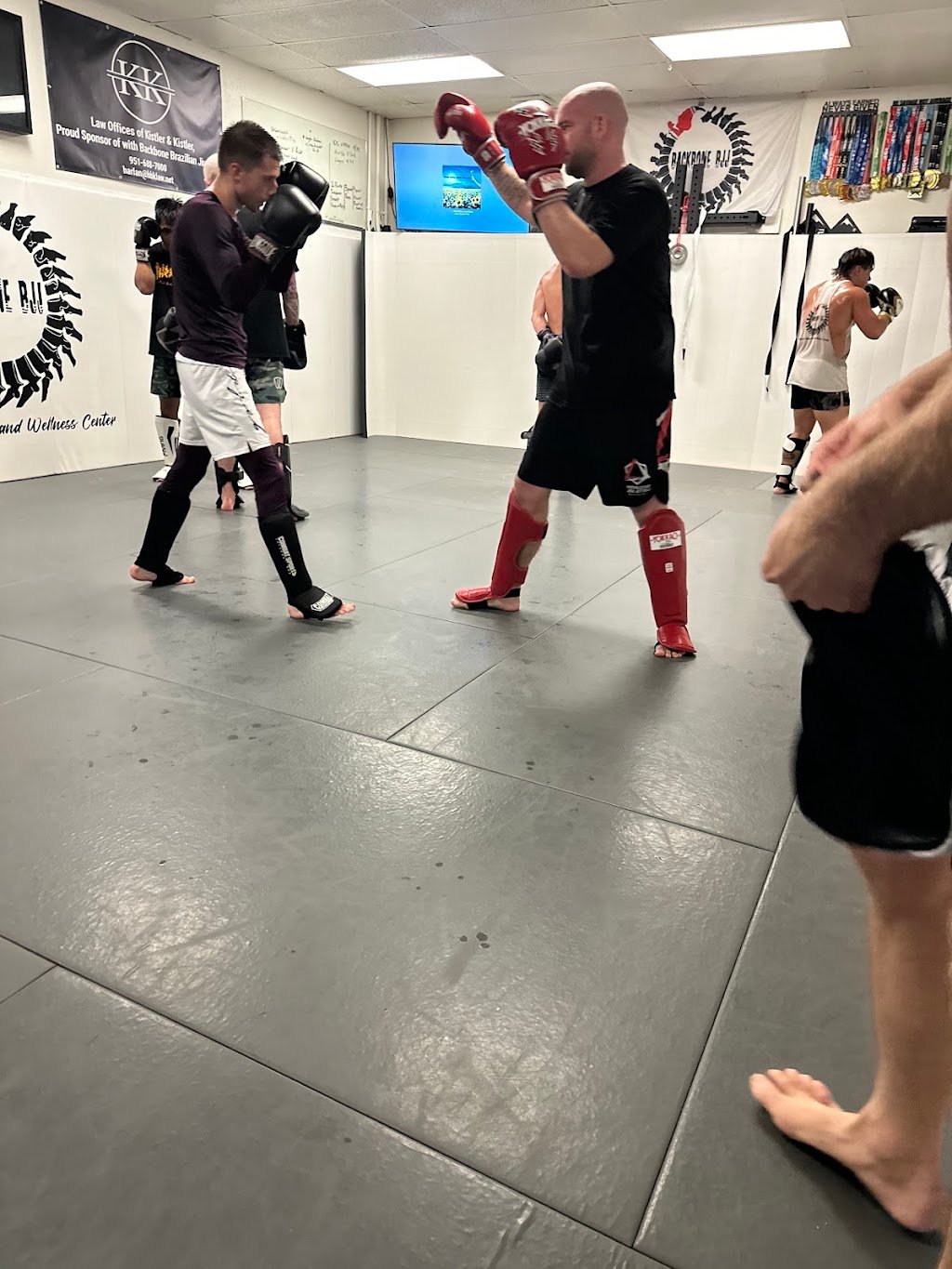 Backbone BJJ — foto 4