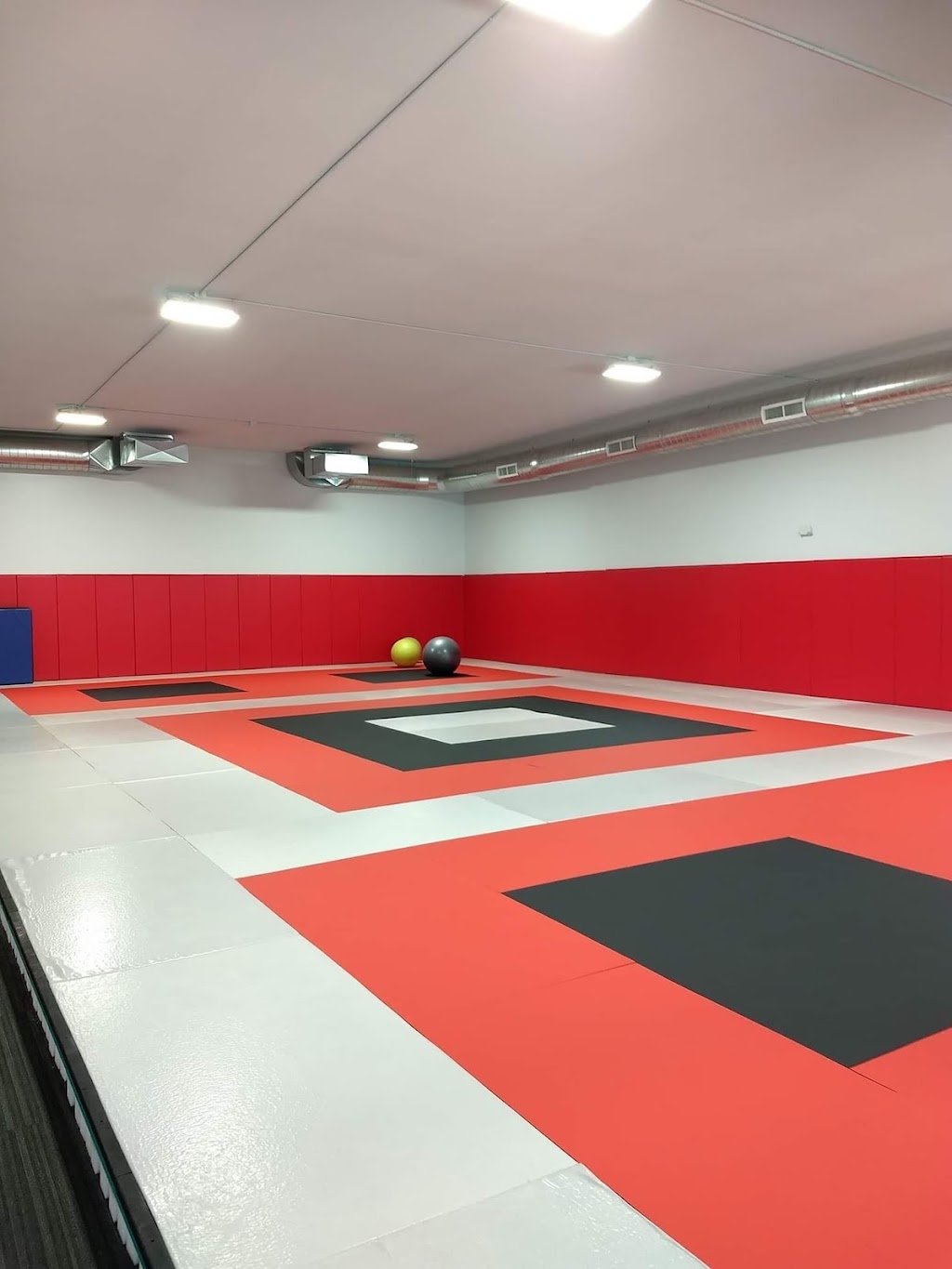 Lincoln Brazilian Jiu-Jitsu Center — foto 3
