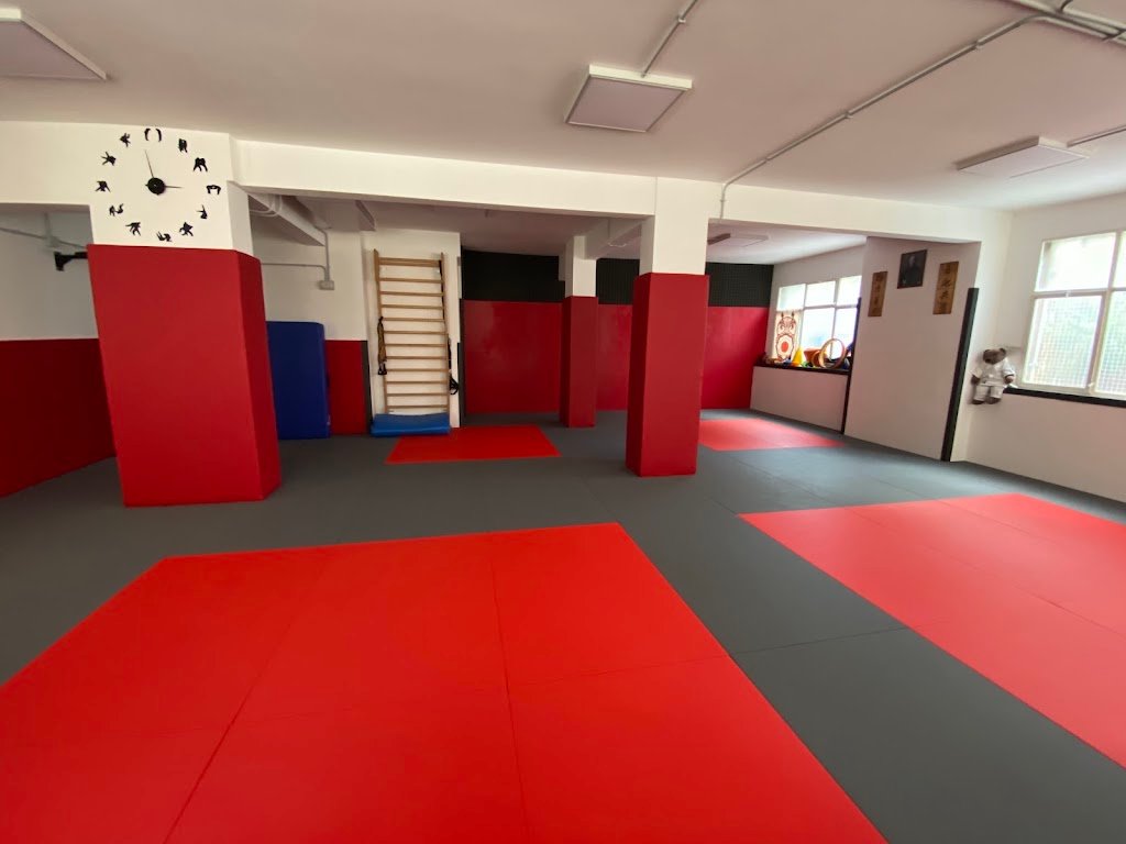 Fukuro Roma Jiu-Jitsu — foto 2