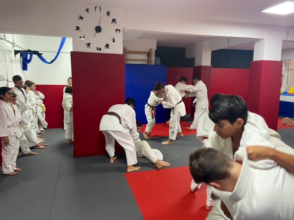 Fukuro Roma Jiu-Jitsu — foto 4