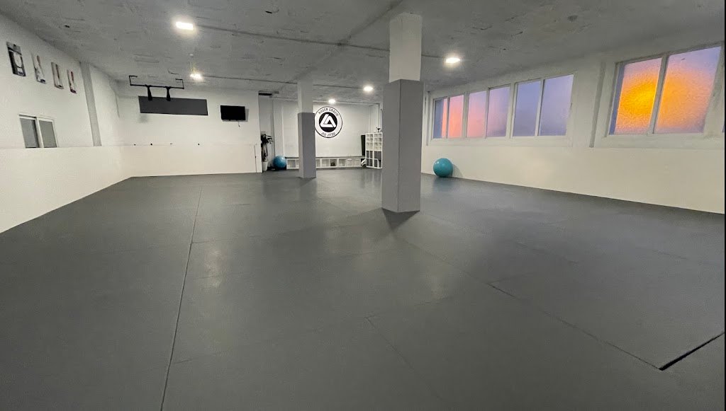 Roger Gracie España — foto 2