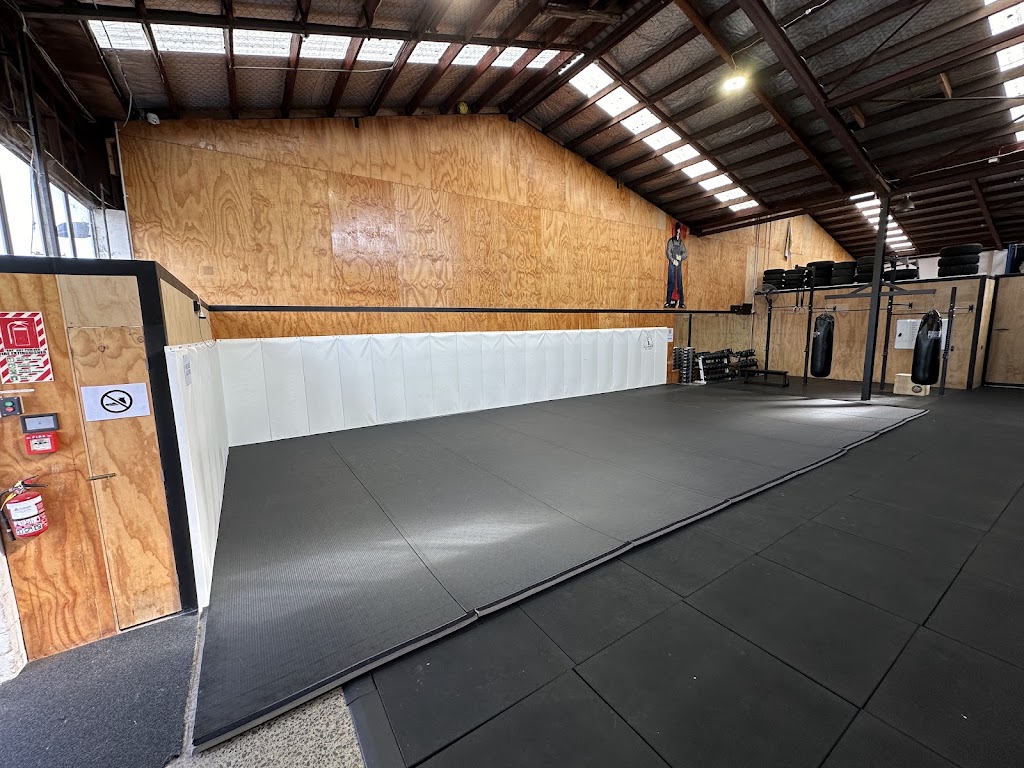 Alliance Jiu-Jitsu Auckland — academia de Jiu-Jitsu
