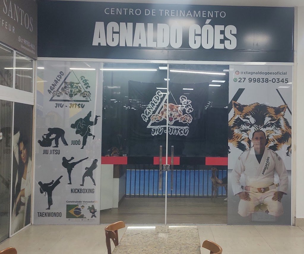 Agnaldo Goes — foto 3